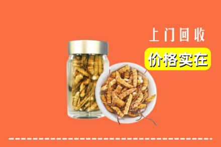 收购资讯:南乐县回收散虫草