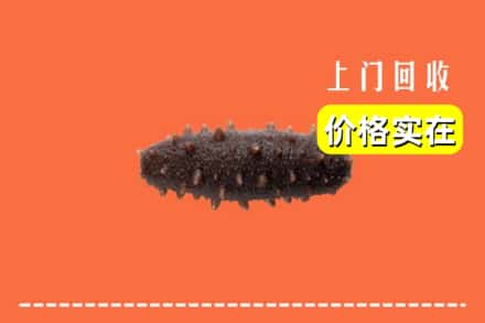 收购资讯:南乐县回收海参