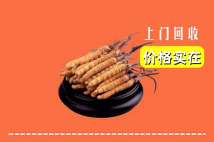 收购资讯:南乐县回收冬虫夏草