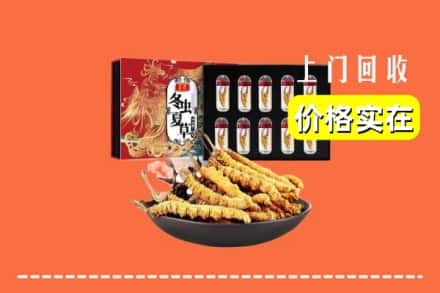 南乐县回收虫草